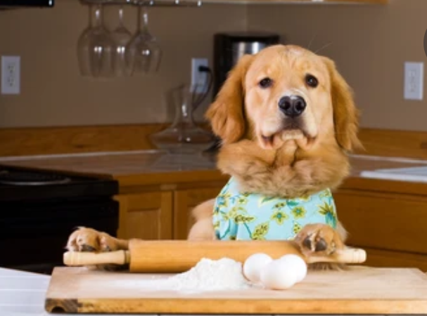 Organic Peanut Butter Macarons for Dogs — Gourmet Soft & Dog-Safe Treats