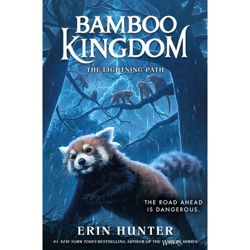 Bamboo Kingdom #5: The Lightning Path - Hardcover