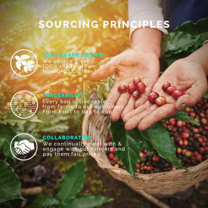 Light-Medium Starter Pack (Monsoon Malabar, Breakfast Blend, Bourbon Infused; 12OZ)