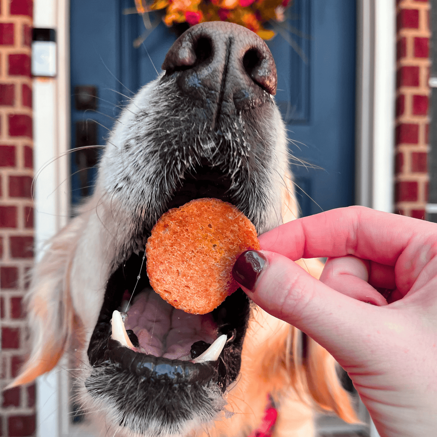 Turkey Feast Turkey Chips