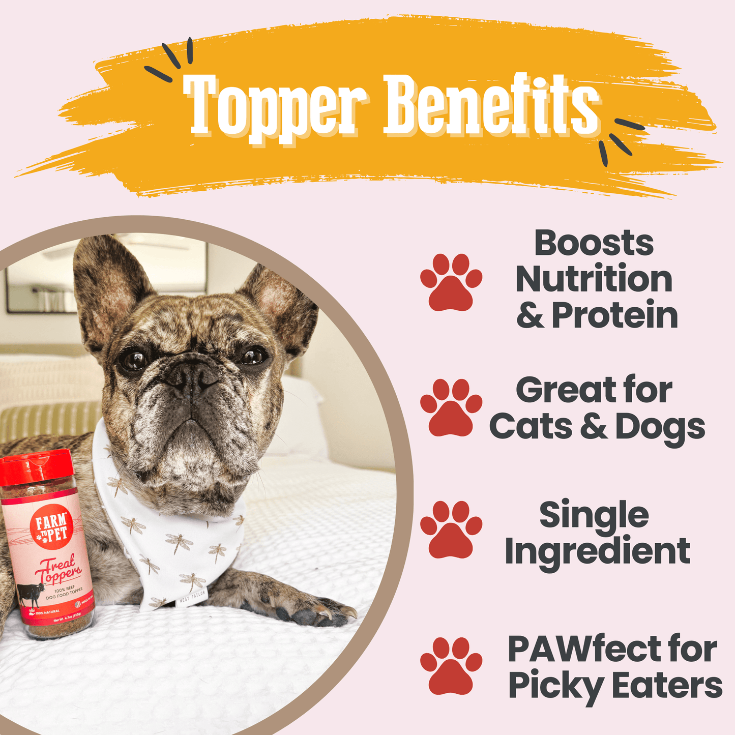 Treat Topper Beef Dog Food Topper | Powdered Meal Topper for Pets
