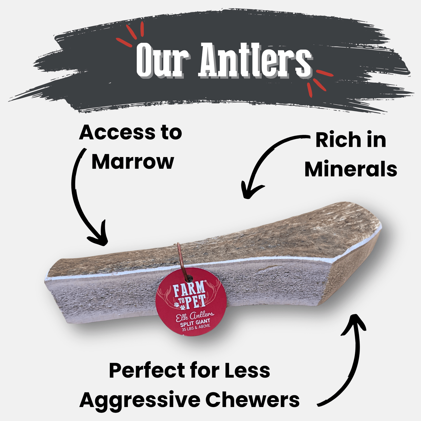 Elk Antler Dog Chews | All-Natural Whole and Split Elk Antler Chews for Dogs