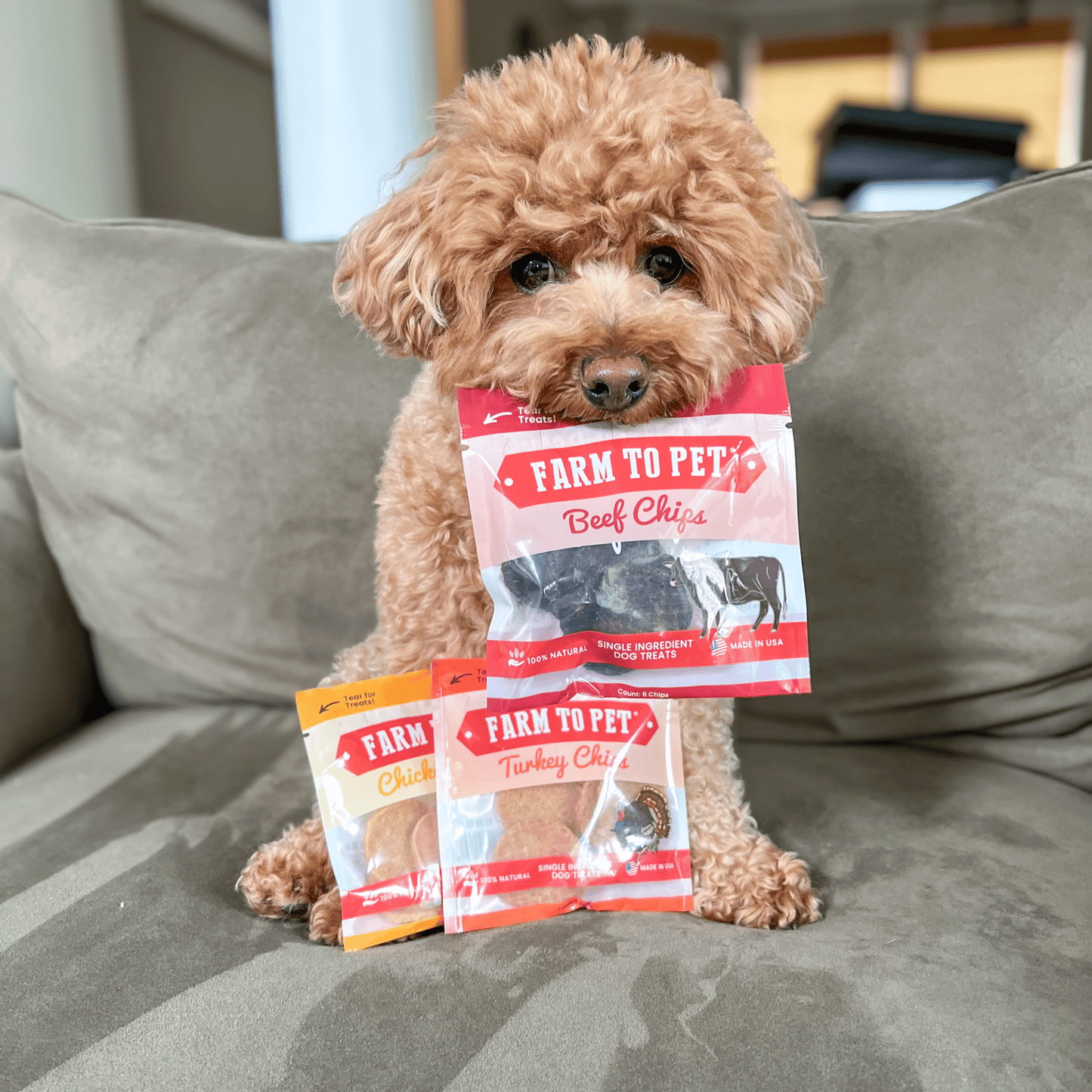 Puppy Packs 'n Snacks Dog Treat Starter Pack | Single-Ingredient Training Treats