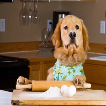 Organic Peanut Butter Macarons for Dogs — Gourmet Soft & Dog-Safe Treats