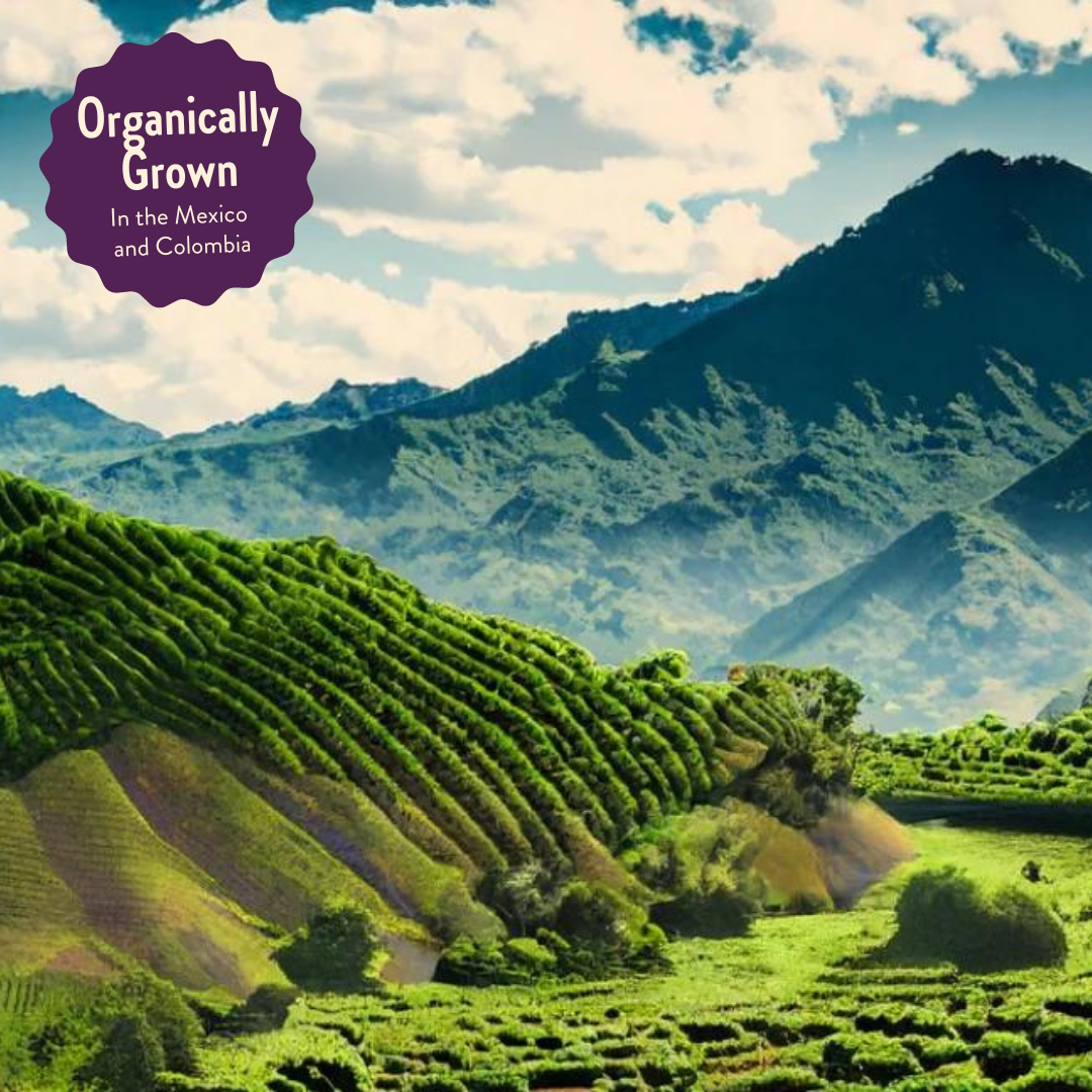 Three Bears | Signature Decaf Blend | Colombia & Mexico | Naturally Decaffeinated