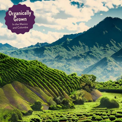 Three Bears | Signature Decaf Blend | Colombia & Mexico | Naturally Decaffeinated