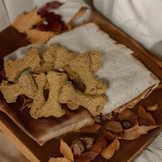 Savory Bacon & Cheddar Snack for Dogs