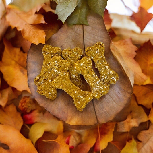 Gentle, Digestive-Friendly Dog Snacks for Sensitive Tummies