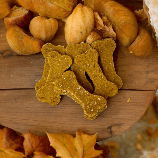 Digestive & Immune Boosting Savory Chews