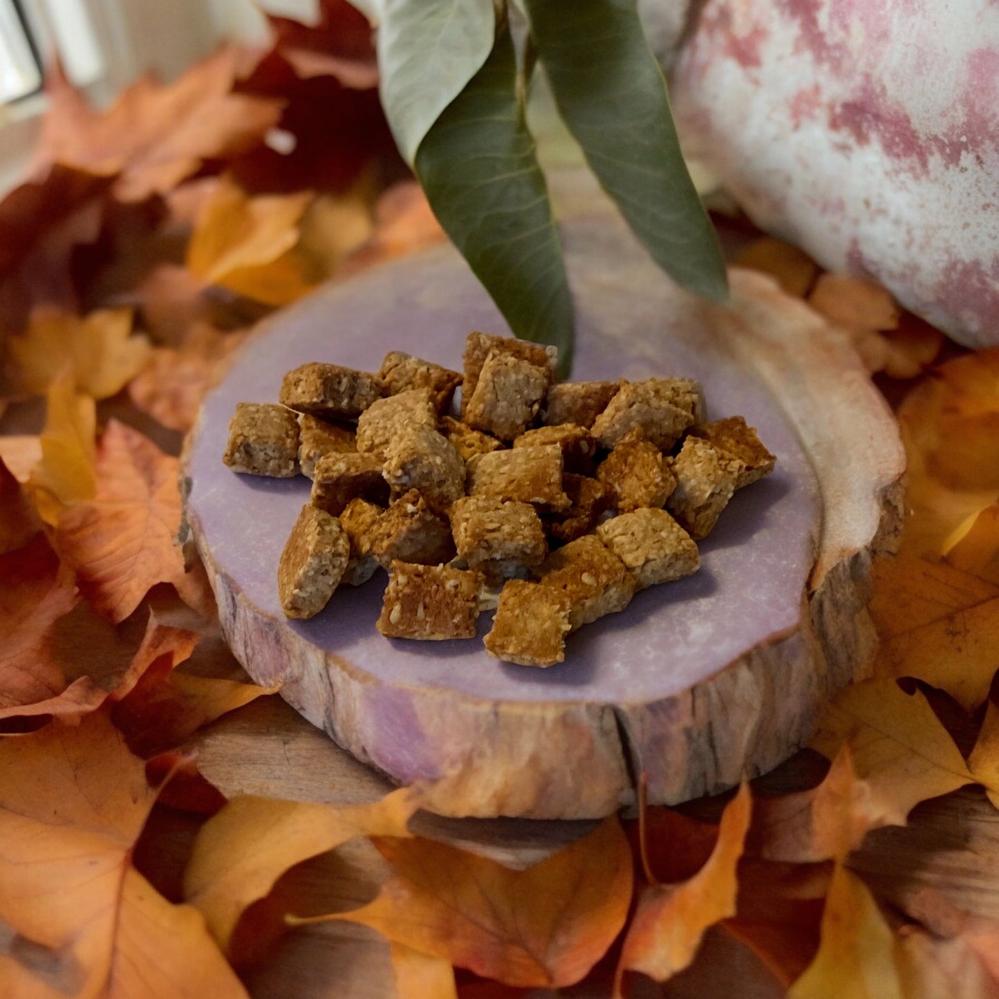 High-Value, Real Chicken Rewards for Dog Training & Behavior Reinforcement