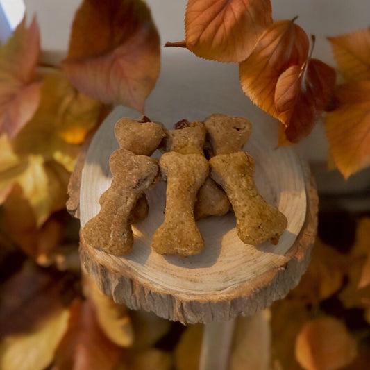 Irresistible Savory & Meaty Snack for Dogs