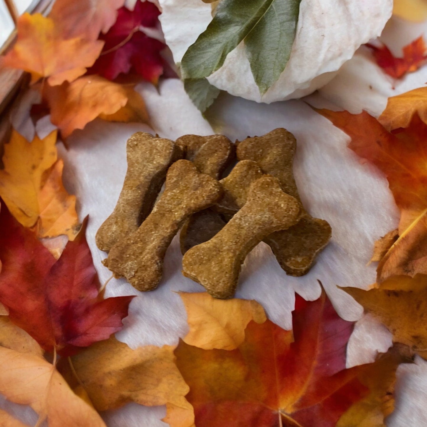 Low-Fat Pumpkin Dog Treats — High-Fiber & Digestive-Friendly Canine Snacks