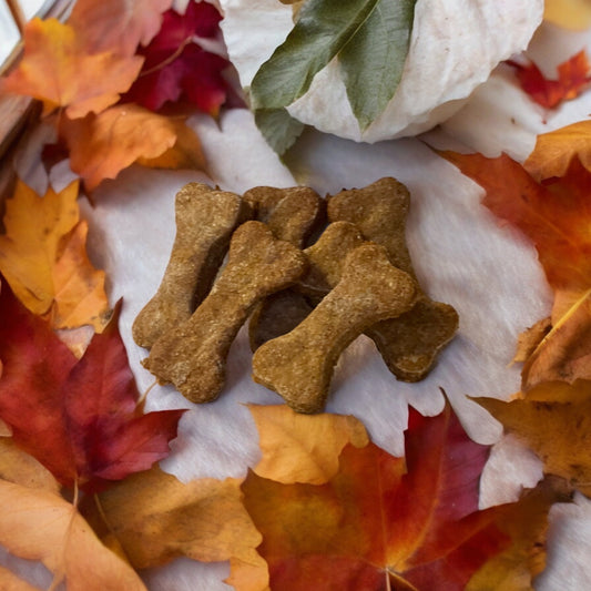 Low-Fat Pumpkin Dog Treats — High-Fiber & Digestive-Friendly Canine Snacks