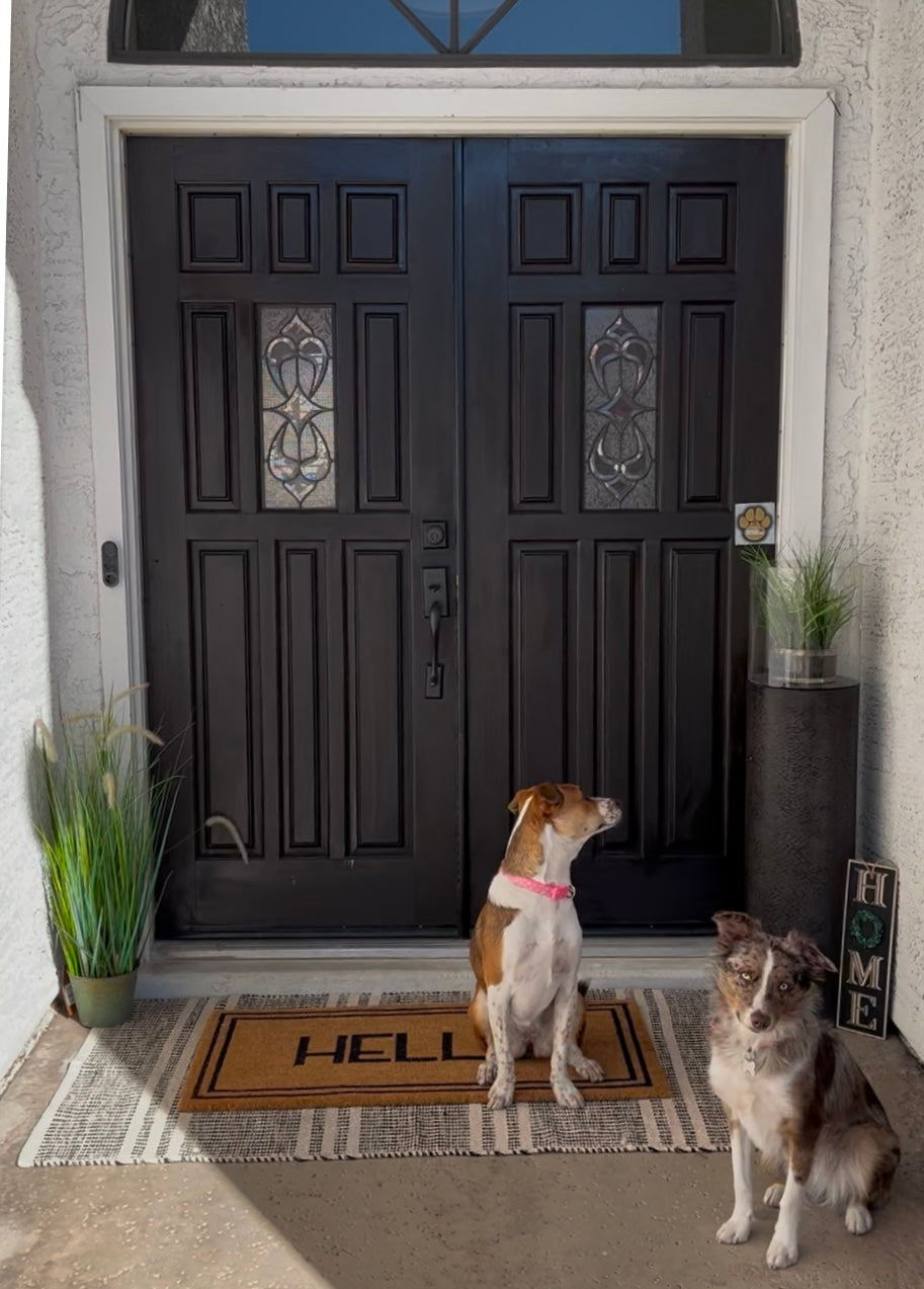 Rescue Retriever Reflective Decal — 2-Pack Pet Alert Stickers