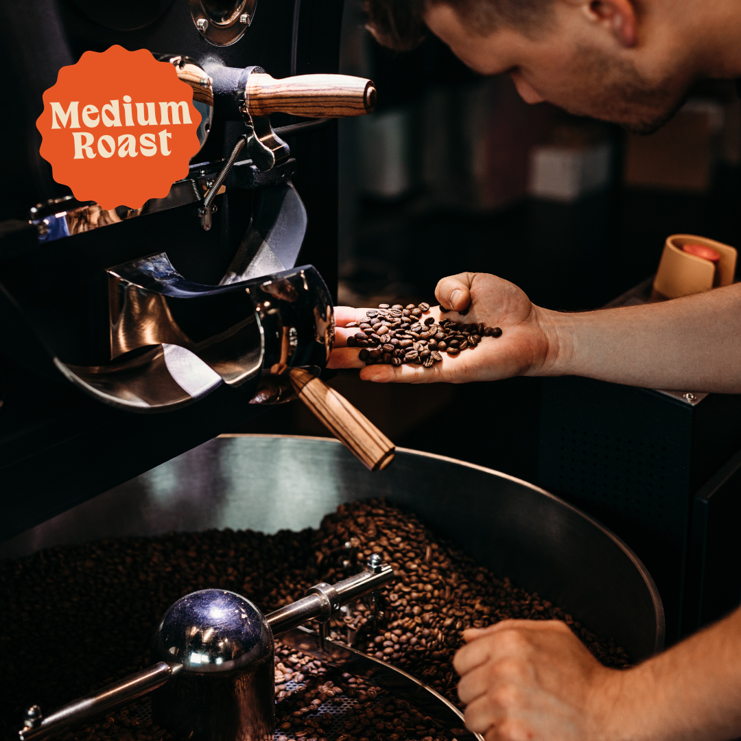 Three Bears | Signature Decaf Blend | Colombia & Mexico | Naturally Decaffeinated